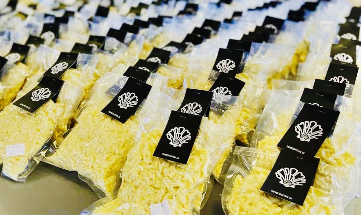 THE SQUARE & THE SHARKS groupes gagnants du concours des jeunes talents 2024 & 2025 du Poprock Festival seront en concert le vendredi 19 & samedi 20 septembre au Genferock Festival !!